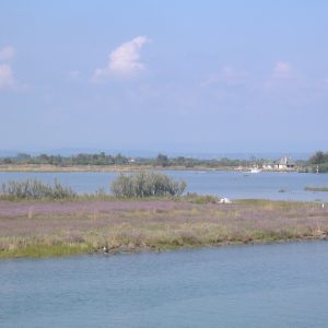 La Laguna di Marano ed i suoi casoni: una riserva naturale da visitare