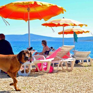 Croazia, a Crikvenica una spiaggia per cani