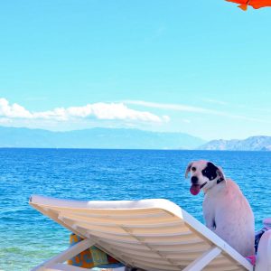 Croazia, a Crikvenica una spiaggia per cani