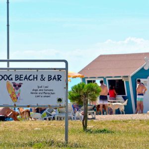 Croazia, a Crikvenica una spiaggia per cani