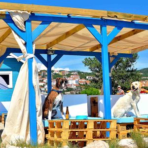 Croazia, a Crikvenica una spiaggia per cani