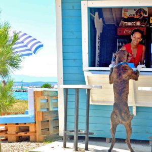 Croazia, a Crikvenica una spiaggia per cani