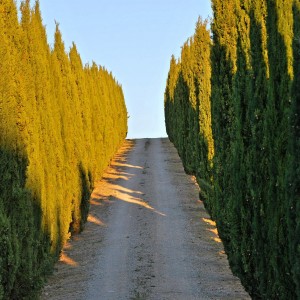 Percorsi in bici in Toscana, regione delle meraviglie