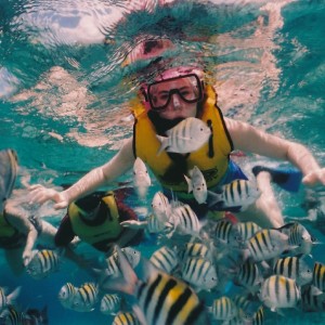 Snorkeling, le isole più belle da vivere sott’acqua