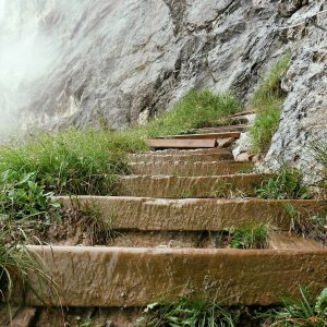 La Via del Sale: un itinerario attraverso le Alpi