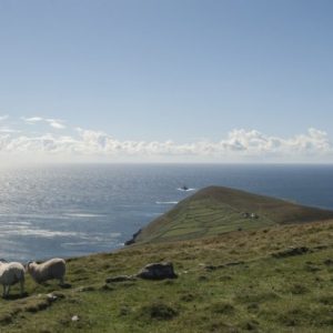 Dursey island, Contea di Cork. Al di là di un tumultuoso canale all’estremità della Penisola di Beara, si trova l’idilliaca isola di Dursey, la più occidentale delle isole abitate della contea di Cork e uno dei punti d’interesse principali della Wild Atlantic Way. Dursey è cosparsa di resti storici: le rovine di una chiesa che si dice sia stata fondata dai monaci di Skellig Michael, un’antica torre di segnalazione di epoca napoleonica e un castello costruito da O’Sullivan Beara. Per raggiungerla, l’unico mezzo di trasporto è la Dursey Island Cable Car, l’unica funivia d’Irlanda.