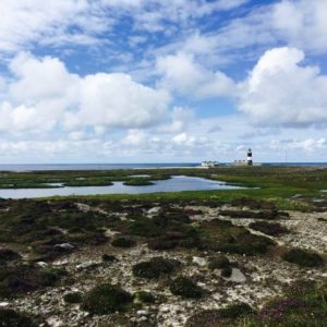 Tory island, Contea di Donegal.
Tory Island, al largo della costa del Donegal, ha una popolazione che non arriva nemmeno a 200 persone però ha un re. Se vedete un elegante gentiluomo che vi saluta dal molo mentre siete ancora sul traghetto, potete scommetterci che sarà l’attuale re di Tory. Quello del 