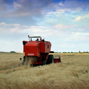 Dormire in Puglia, tra trulli, monasteri e masserie, vicino a spiagge più belle