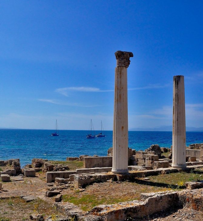 sardegna cabras