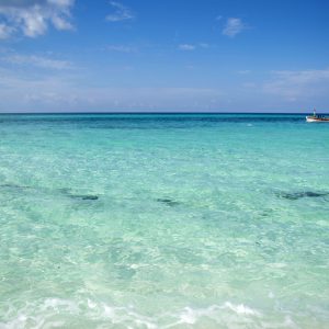 Baia De Las Aguilas, il paradiso della Repubblica Dominicana