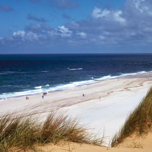 Un’Olanda da scoprire tra spiagge, tradizione della pesca e cultura del cibo