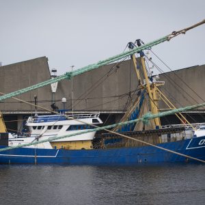 Un’Olanda da scoprire tra spiagge, tradizione della pesca e cultura del cibo