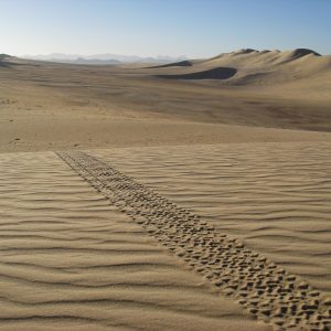 Viaggio avventura nel Sahara: scoprire il deserto dell’Algeria in 4×4