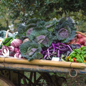 Giardinity 2016: appuntamento a Villa Pisani Bolognesi Scalabrin