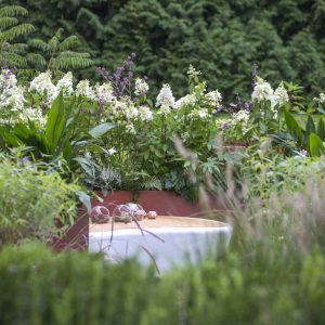 Orticolario 2016: a Cernobbio il giardinaggio si risveglia