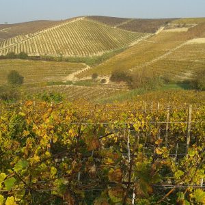 2) Le Langhe - La zona piemontese tra Cuneo e Asti regala un susseguirsi di panorami spettacolari, colline e vigneti si alternano a castelli e borghi storici. Per vivere questi posti a pieno, l'autunno è la stagione migliore anche dal punto di vista enogastronomico, dato che è tempo di tartufi.