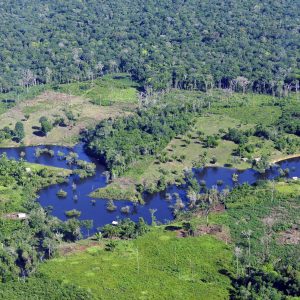 Crociera sul Rio delle delle Amazzoni, cuore pulsante del Brasile