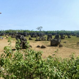 L’isola di Wasini in Kenya, culla delle prime civiltà swahili