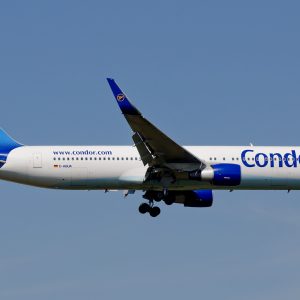 condor