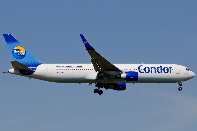 condor