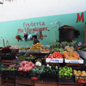 Viaggio fotografico all’isola di Holbox