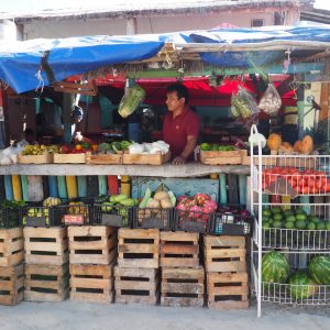 Viaggio fotografico all’isola di Holbox