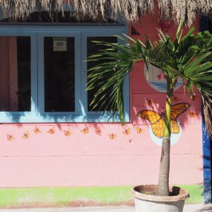 Viaggio fotografico all’isola di Holbox