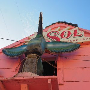 Viaggio fotografico all’isola di Holbox