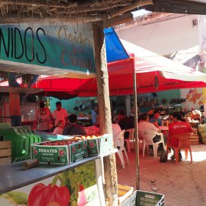 Viaggio fotografico all’isola di Holbox