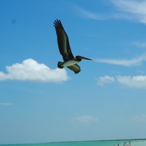 Viaggio fotografico all’isola di Holbox