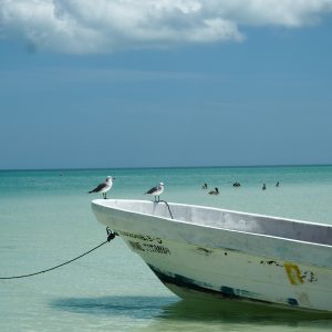 L’isola Holbox, nella penisola dello Yucatan in  Messico: cosa vedere e cosa fare