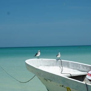 Viaggio fotografico all’isola di Holbox