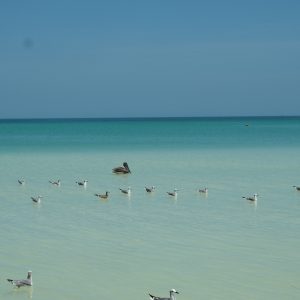 Viaggio fotografico all’isola di Holbox