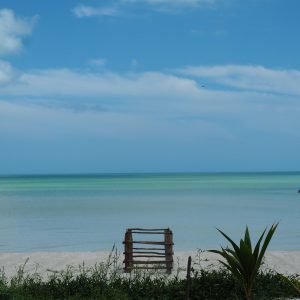 Viaggio fotografico all’isola di Holbox