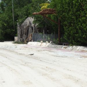 Viaggio fotografico all’isola di Holbox