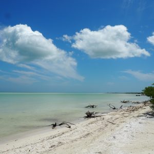 Viaggio fotografico all’isola di Holbox