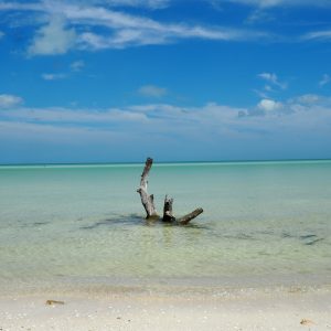 Viaggio fotografico all’isola di Holbox