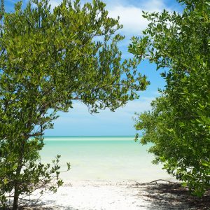 Viaggio fotografico all’isola di Holbox