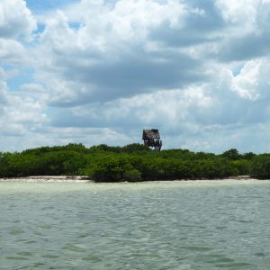 Viaggio fotografico all’isola di Holbox