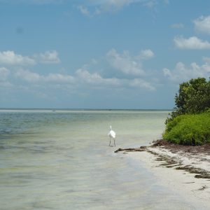 L’isola Holbox, nella penisola dello Yucatan in  Messico: cosa vedere e cosa fare