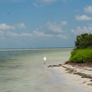 Viaggio fotografico all’isola di Holbox