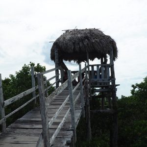 Viaggio fotografico all’isola di Holbox