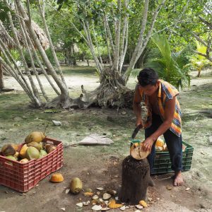 Viaggio fotografico all’isola di Holbox