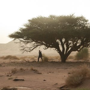 Algeria: il Parco Nazionale del Tassili n’Ajjer è Patrimonio dell’Umanità UNESCO