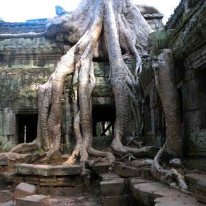 Vietnam e Cambogia: una crociera alla scoperta delle meraviglie del sud-est asiatico