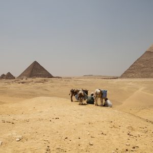 Grand Egyptian Museum: il nuovo spettacolare museo egizio davanti alle piramidi di Giza