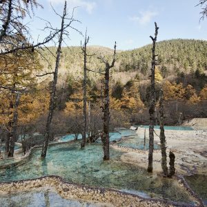 Cina: lo spettacolo di Huanglong nel Parco Nazionale di Jiuzhaigou