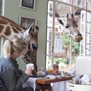 Giraffe Manor Hotel: a Nairobi la colazione con le giraffe