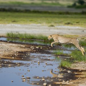 Tanzania in inverno per assistere alla Grande Migrazione al Serengeti