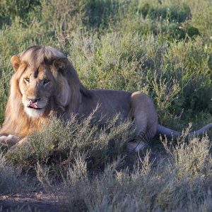 Tanzania in inverno per assistere alla Grande Migrazione al Serengeti